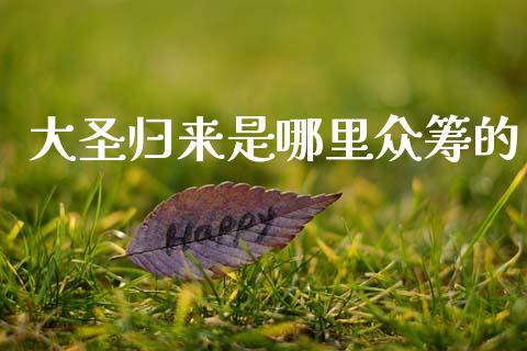 大圣归来是哪里众筹的_https://m.qdlswl.com_恒指德指直播室_第1张