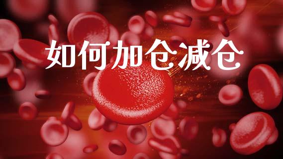 如何加仓减仓_https://m.qdlswl.com_恒生指数直播喊单_第1张