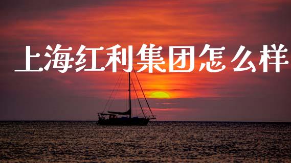 上海红利集团怎么样_https://m.qdlswl.com_恒生指数直播喊单_第1张