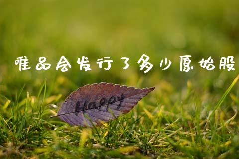 唯品会发行了多少原始股_https://m.qdlswl.com_纳指直播_第1张