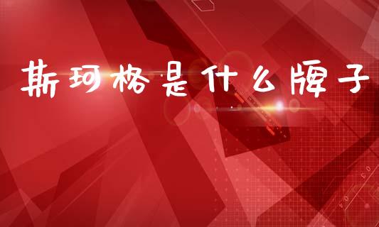 斯珂格是什么牌子_https://m.qdlswl.com_纳指直播_第1张