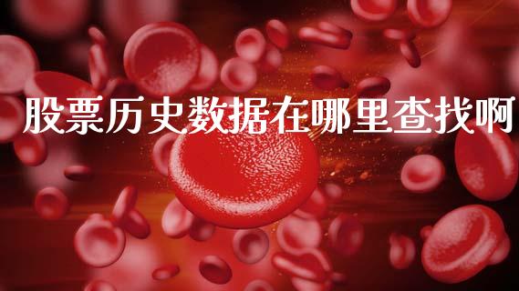股票历史数据在哪里查找啊_https://m.qdlswl.com_恒生指数直播喊单_第1张