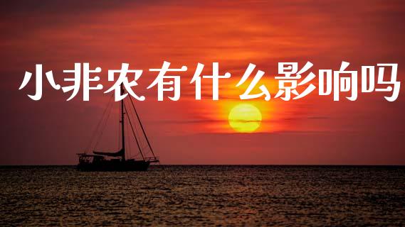 小非农有什么影响吗_https://m.qdlswl.com_恒指德指直播室_第1张