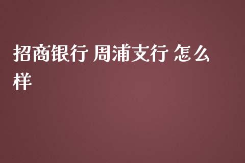 招商银行 周浦支行 怎么样_https://m.qdlswl.com_恒指在线直播间_第1张