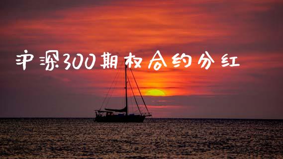 沪深300期权合约分红_https://m.qdlswl.com_纳指直播_第1张