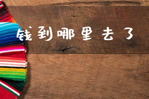 钱到哪里去了_https://m.qdlswl.com_纳指直播_第1张
