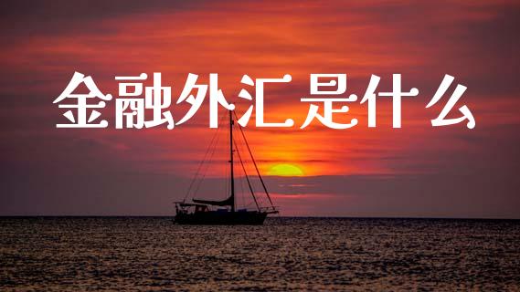 金融外汇是什么_https://m.qdlswl.com_恒生指数直播喊单_第1张