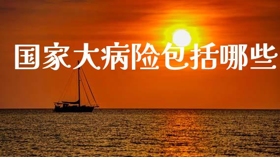 国家大病险包括哪些_https://m.qdlswl.com_恒指德指直播室_第1张