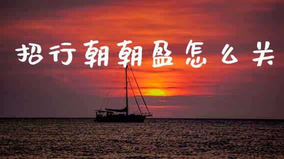 招行朝朝盈怎么关_https://m.qdlswl.com_恒指在线直播间_第1张
