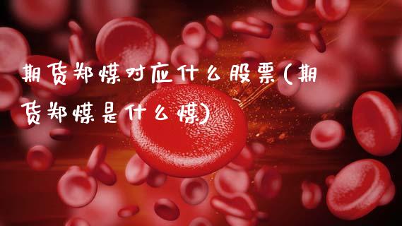 期货郑煤对应什么股票(期货郑煤是什么煤)_https://m.qdlswl.com_恒指在线直播间_第1张