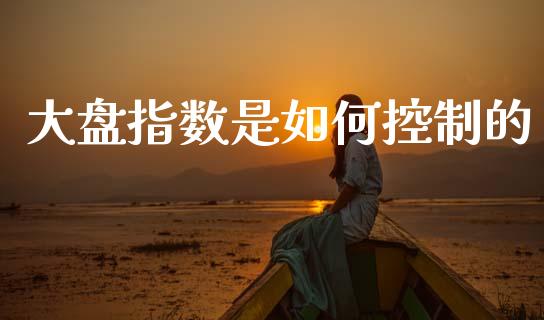 大盘指数是如何控制的_https://m.qdlswl.com_恒生指数直播喊单_第1张