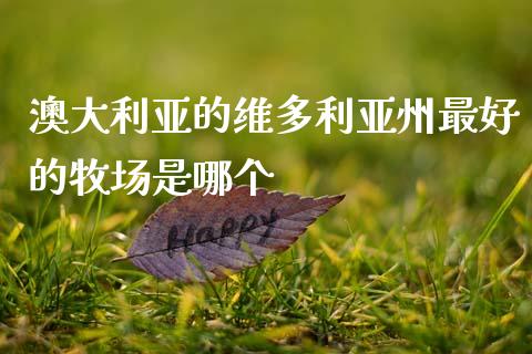 澳大利亚的维多利亚州最好的牧场是哪个_https://m.qdlswl.com_纳指直播_第1张