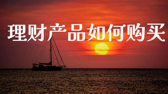 理财产品如何购买_https://m.qdlswl.com_恒指德指直播室_第1张