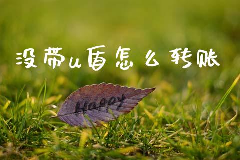没带u盾怎么转账_https://m.qdlswl.com_恒指德指直播室_第1张