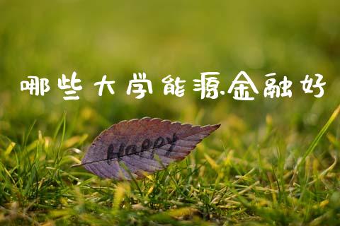 哪些大学能源金融好_https://m.qdlswl.com_恒指德指直播室_第1张