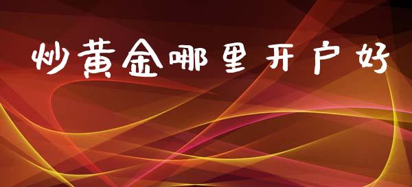 炒黄金哪里开户好_https://m.qdlswl.com_恒指在线直播间_第1张