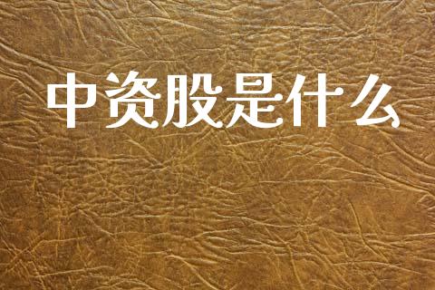 中资股是什么_https://m.qdlswl.com_恒生指数直播喊单_第1张