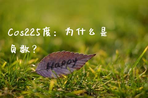 Cos225度：为什么是负数？_https://m.qdlswl.com_纳指直播_第1张