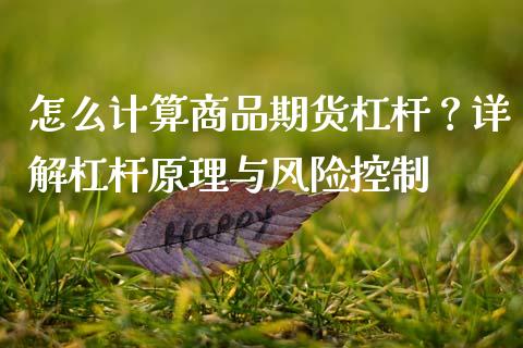 怎么计算商品期货杠杆？详解杠杆原理与风险控制_https://m.qdlswl.com_纳指直播_第1张