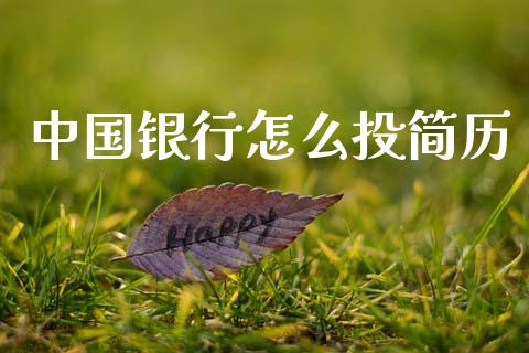 中国银行怎么投简历_https://m.qdlswl.com_纳指直播_第1张