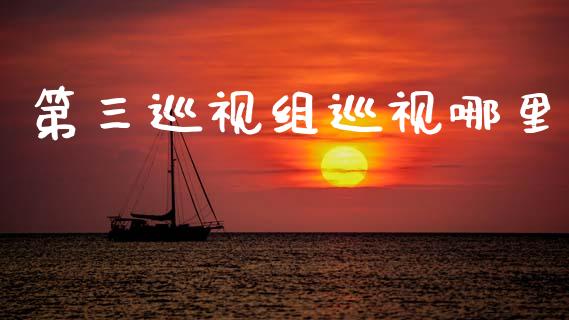 第三巡视组巡视哪里_https://m.qdlswl.com_恒指在线直播间_第1张
