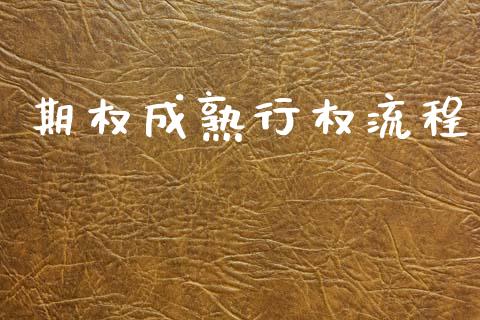 期权成熟行权流程_https://m.qdlswl.com_纳指直播_第1张