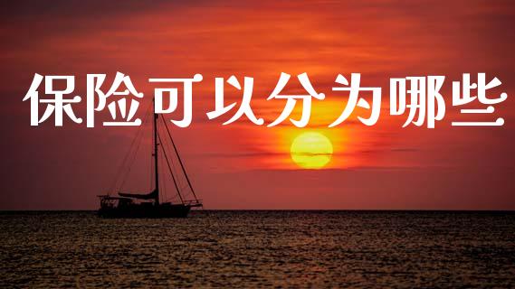 保险可以分为哪些_https://m.qdlswl.com_恒生指数直播喊单_第1张