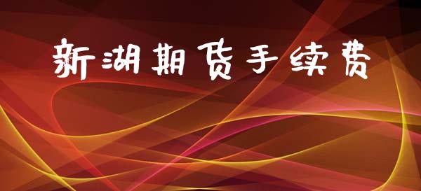 新湖期货手续费_https://m.qdlswl.com_恒指在线直播间_第1张