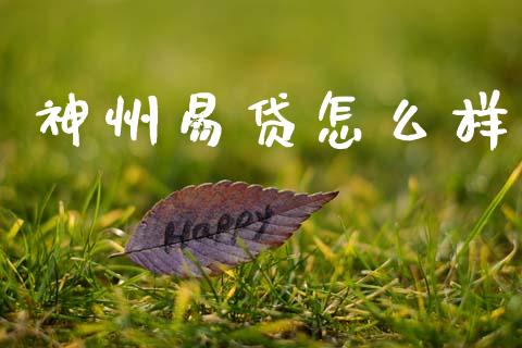 神州易贷怎么样_https://m.qdlswl.com_恒指在线直播间_第1张