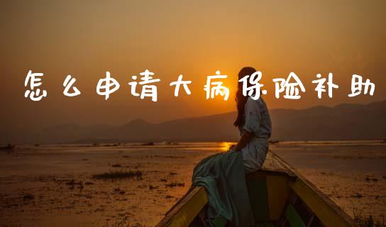 怎么申请大病保险补助_https://m.qdlswl.com_纳指直播_第1张
