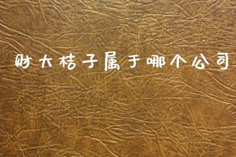 财大桔子属于哪个公司_https://m.qdlswl.com_恒指德指直播室_第1张