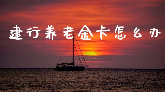 建行养老金卡怎么办_https://m.qdlswl.com_恒生指数直播喊单_第1张
