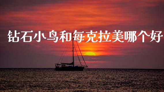 钻石小鸟和每克拉美哪个好_https://m.qdlswl.com_恒指德指直播室_第1张