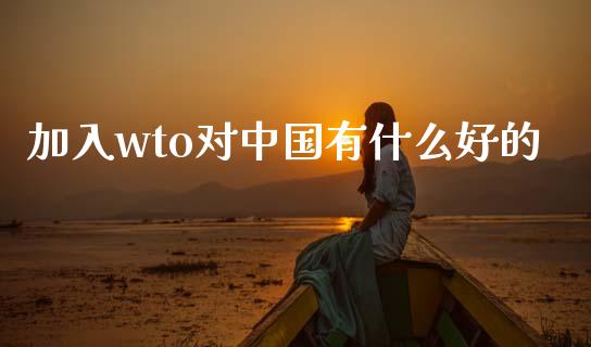 加入wto对中国有什么好的_https://m.qdlswl.com_恒指德指直播室_第1张