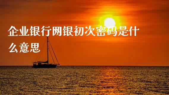 企业银行网银初次密码是什么意思_https://m.qdlswl.com_恒指德指直播室_第1张