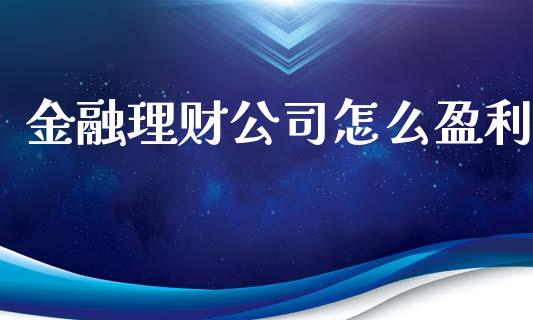 金融理财公司怎么盈利_https://m.qdlswl.com_纳指直播_第1张