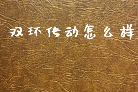双环传动怎么样_https://m.qdlswl.com_恒生指数直播喊单_第1张