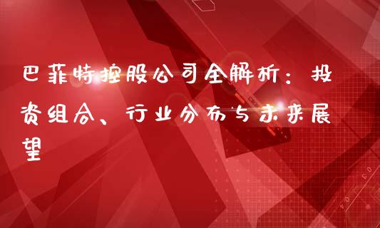 巴菲特控股公司全解析：投资组合、行业分布与未来展望_https://m.qdlswl.com_恒指德指直播室_第1张