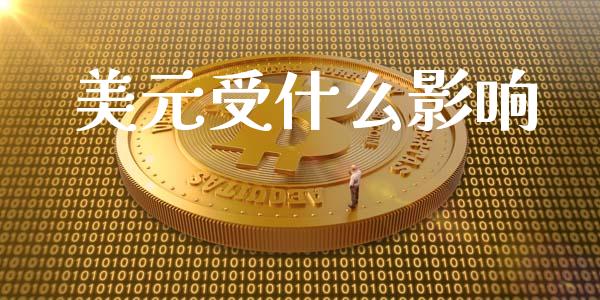 美元受什么影响_https://m.qdlswl.com_恒指德指直播室_第1张
