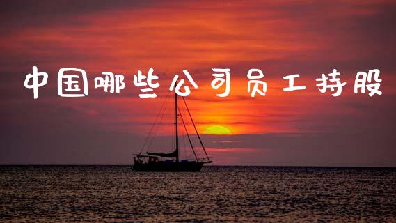 中国哪些公司员工持股_https://m.qdlswl.com_恒指德指直播室_第1张
