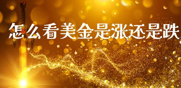 怎么看美金是涨还是跌_https://m.qdlswl.com_恒指在线直播间_第1张