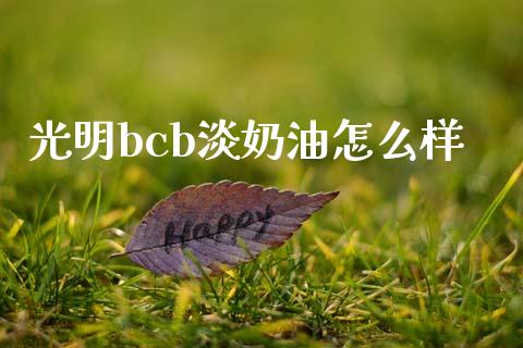 光明bcb淡奶油怎么样_https://m.qdlswl.com_恒生指数直播喊单_第1张