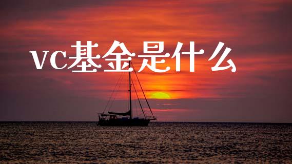 vc基金是什么_https://m.qdlswl.com_恒生指数直播喊单_第1张