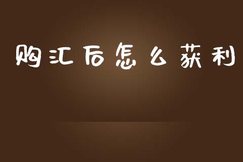 购汇后怎么获利_https://m.qdlswl.com_恒指德指直播室_第1张