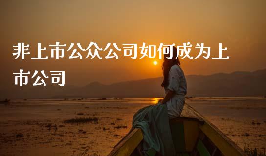 非上市公众公司如何成为上市公司_https://m.qdlswl.com_恒指在线直播间_第1张