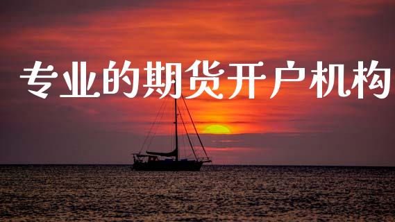 专业的期货开户机构_https://m.qdlswl.com_恒指德指直播室_第1张