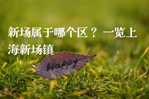 新场属于哪个区？ 一览上海新场镇_https://m.qdlswl.com_恒指在线直播间_第1张
