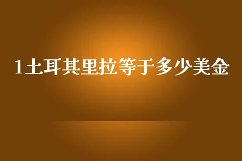 1土耳其里拉等于多少美金_https://m.qdlswl.com_恒指在线直播间_第1张