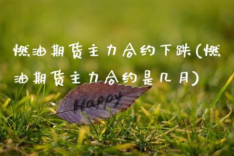 燃油期货主力合约下跌(燃油期货主力合约是几月)_https://m.qdlswl.com_恒生指数直播喊单_第1张