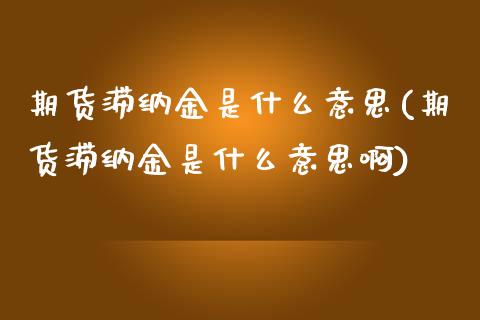 期货滞纳金是什么意思(期货滞纳金是什么意思啊)_https://m.qdlswl.com_恒生指数直播喊单_第1张